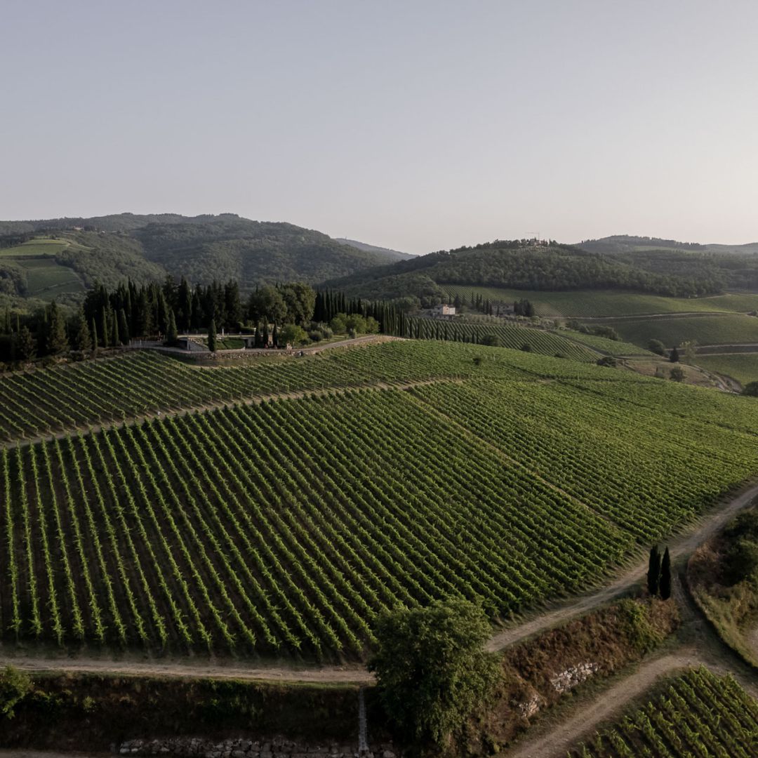 Montevertine